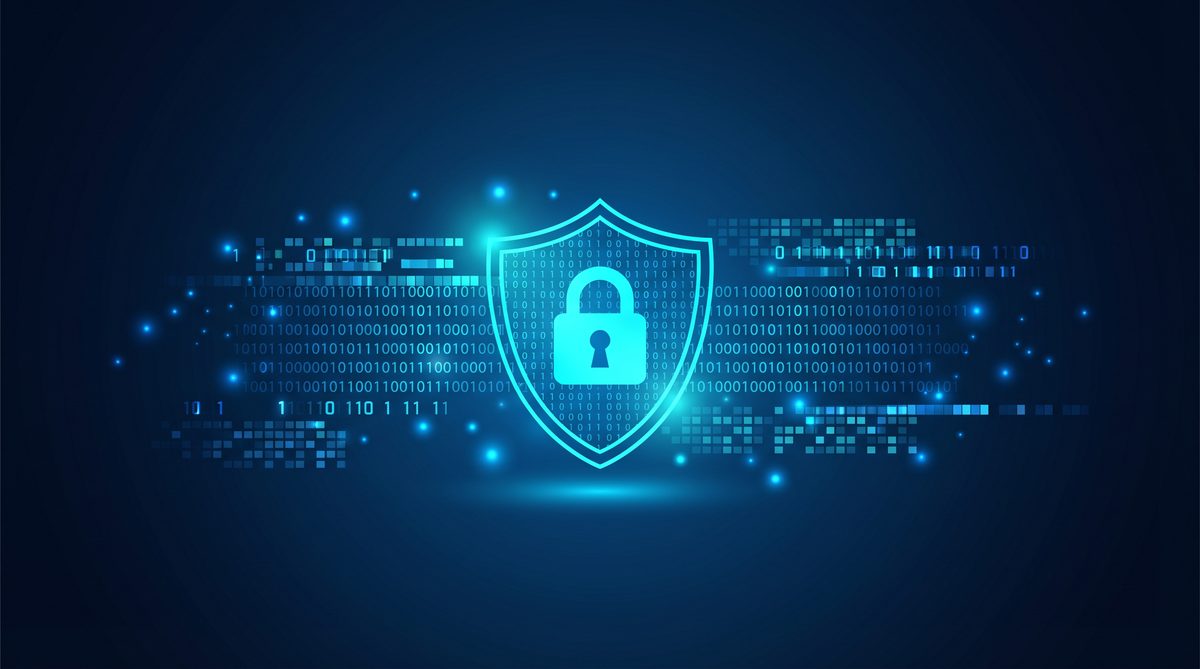 死鱼加速器隐私安全保护